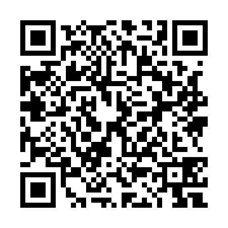 QR code for 4C91381