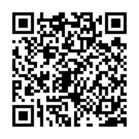 QR code for 4C9631T