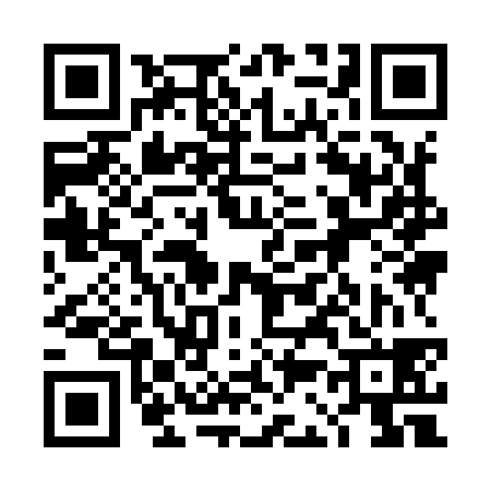 QR code for 4C9938V