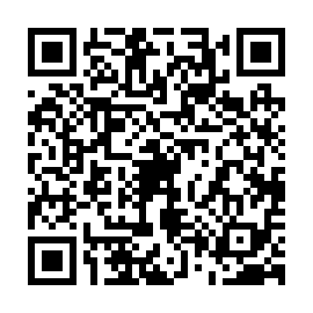 QR code for 500219X