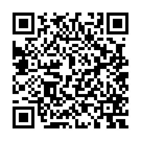 QR code for 502007P