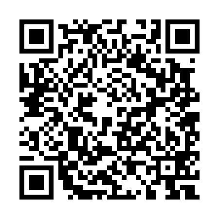 QR code for 502099G
