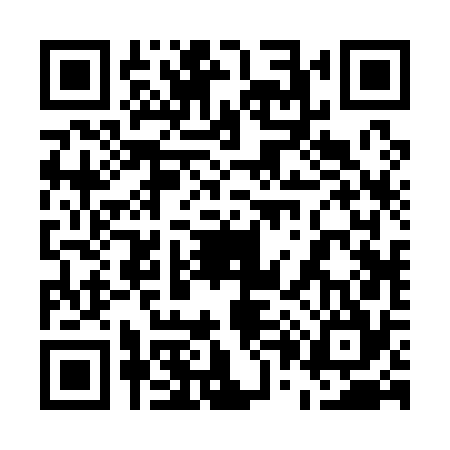 QR code for 502174P