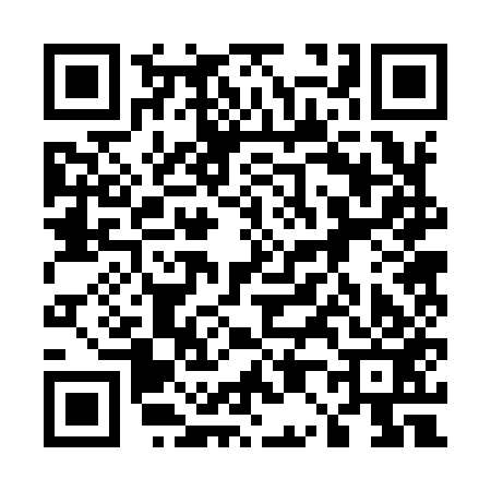 QR code for 502953K