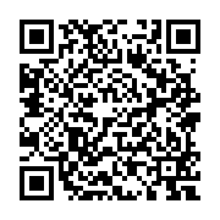 QR code for 509393I