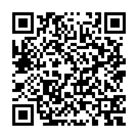 QR code for 509570C
