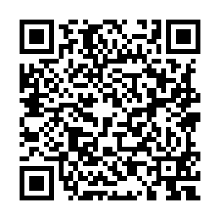 QR code for 509991Q