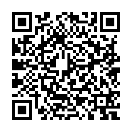 QR code for 510920H