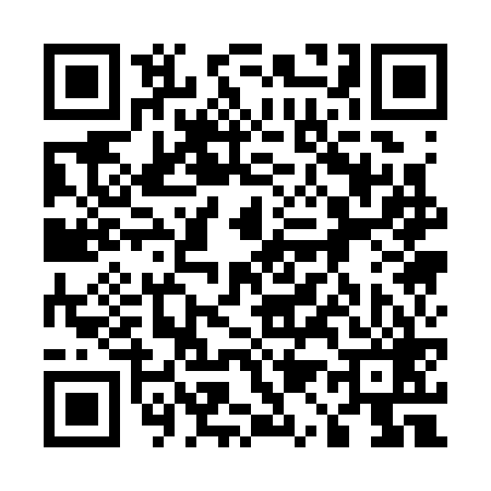 QR code for 511369T