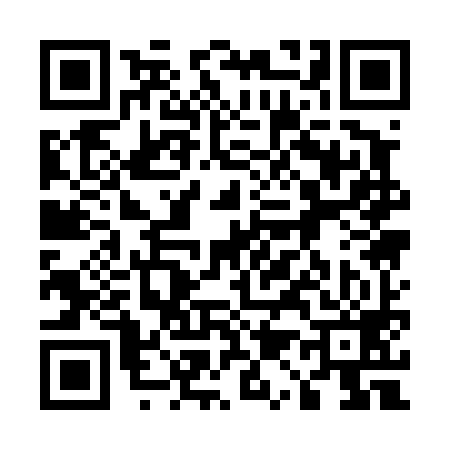 QR code for 511499T