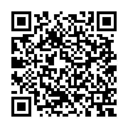 QR code for 513461L