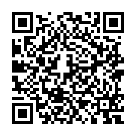 QR code for 519595T