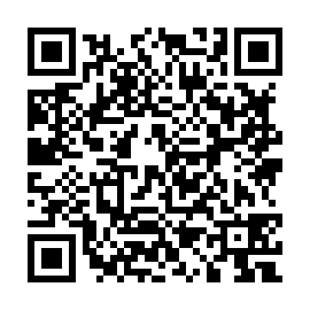 QR code for 519838N
