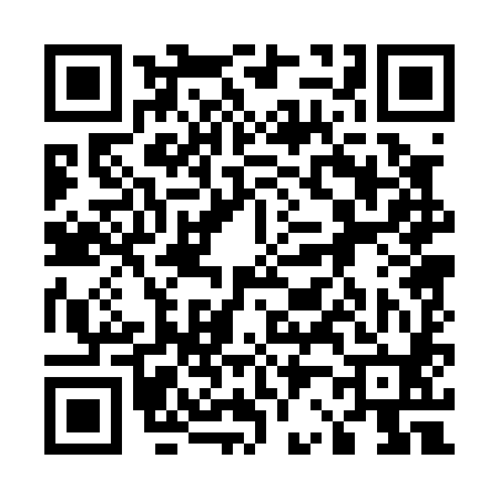 QR code for 520080Y