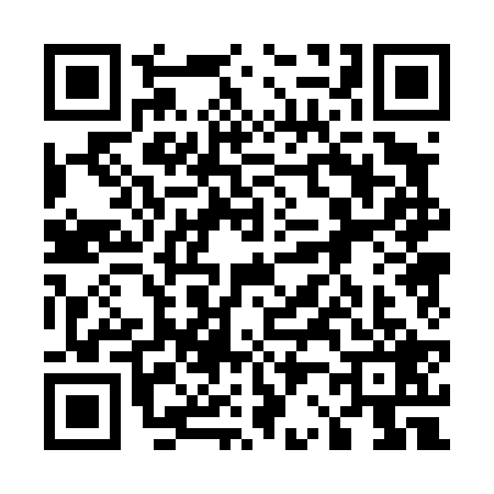 QR code for 5204293