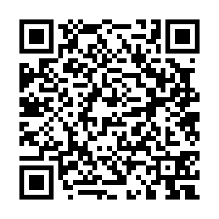 QR code for 5220306
