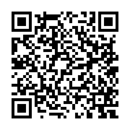 QR code for 523905L