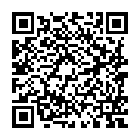 QR code for 528995P