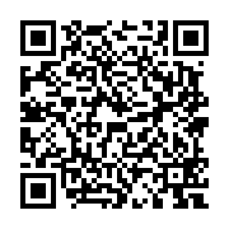 QR code for 529499E