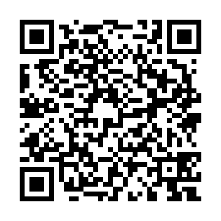 QR code for 529638P