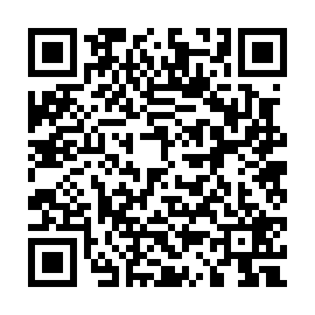 QR code for 5320295