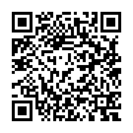 QR code for 533832P