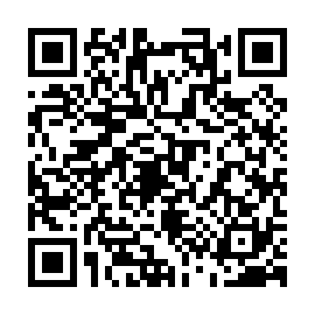 QR code for 5390303