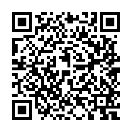QR code for 540541G