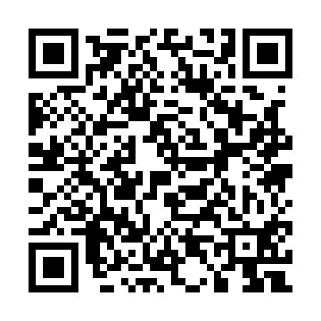 QR code for 541110P