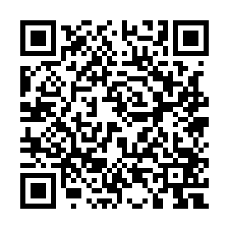 QR code for 5411431