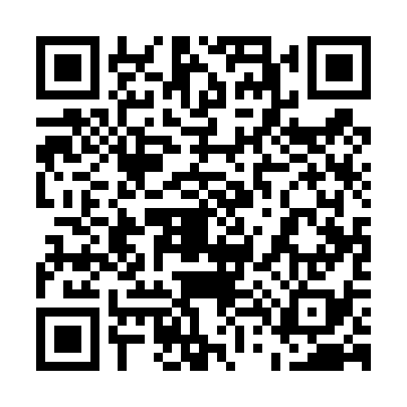 QR code for 541438I