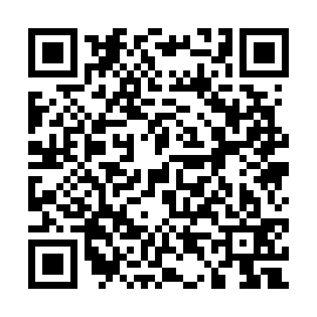 QR code for 541733N
