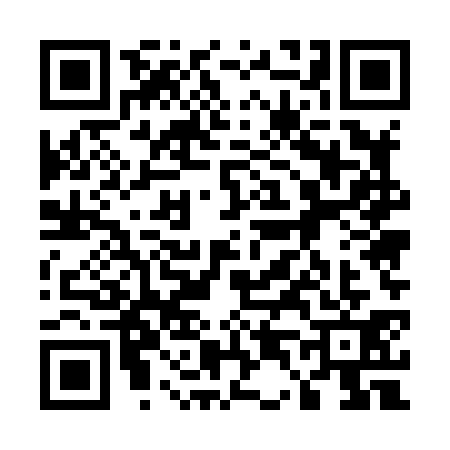 QR code for 5458313