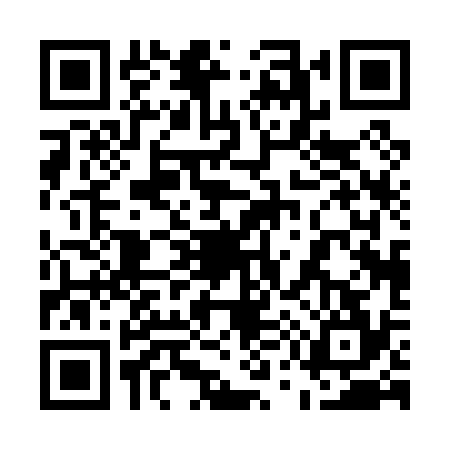 QR code for 5500343