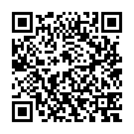QR code for 593138G