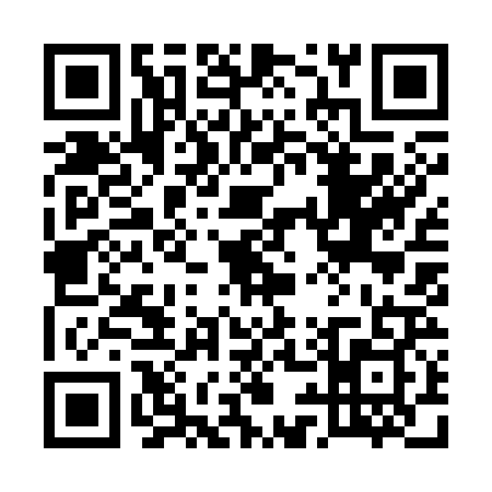 QR code for 5993295