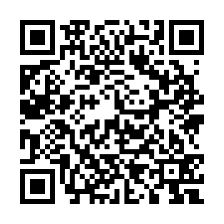 QR code for 599333N