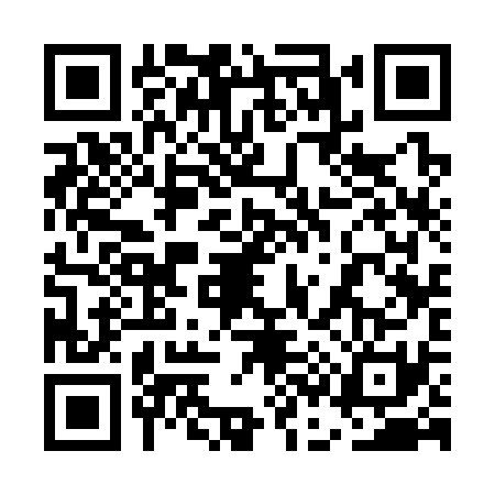 QR code for 5C33313