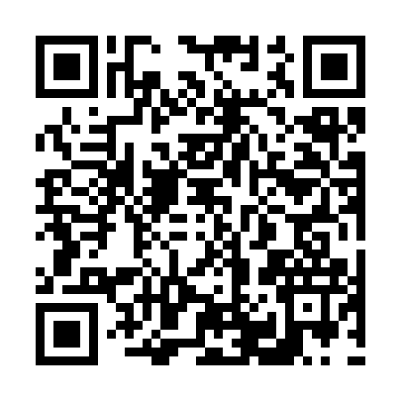 QR code for 600317P