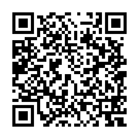 QR code for 600598K