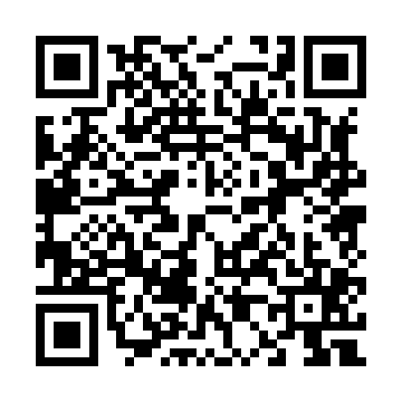 QR code for 6008055