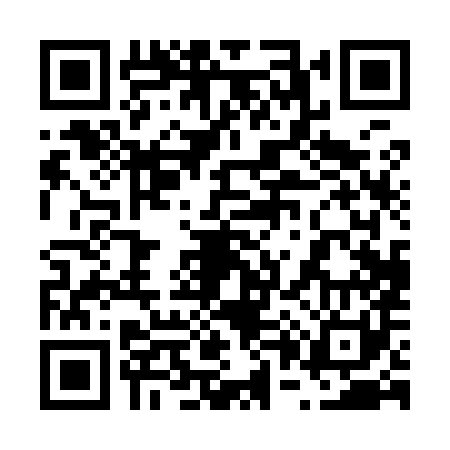 QR code for 600981N