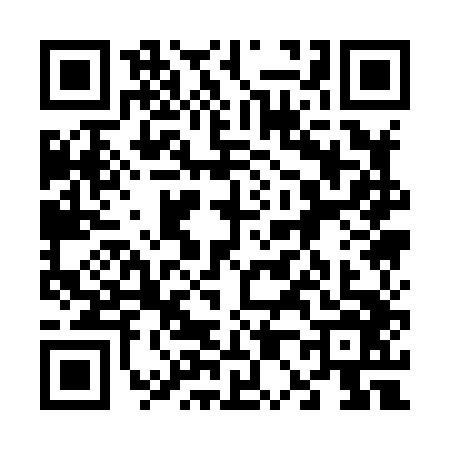 QR code for 6018463