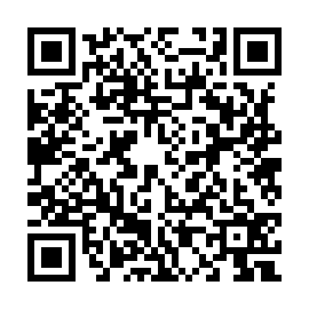 QR code for 6029366