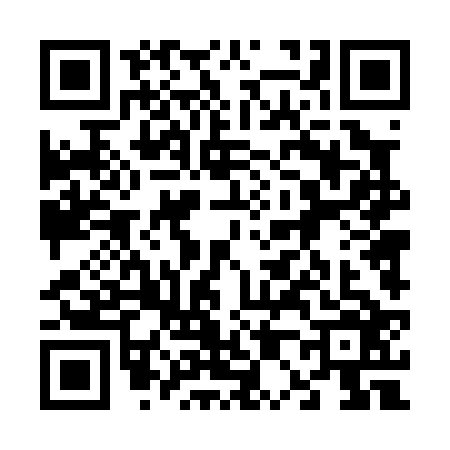QR code for 6040263
