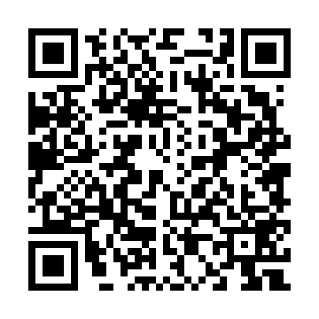 QR code for 6046593