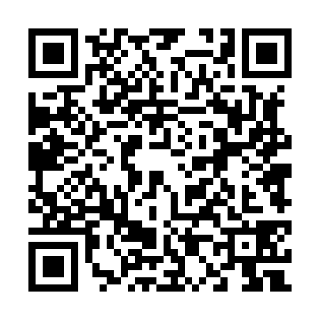QR code for 6048385