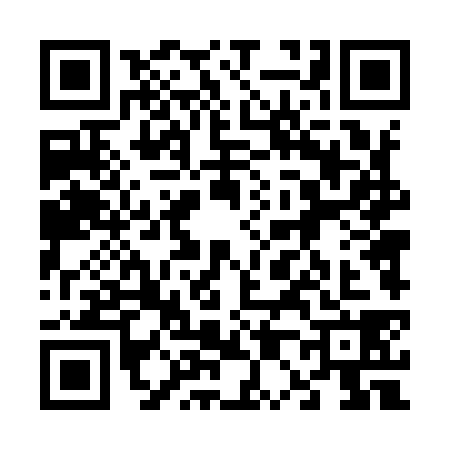 QR code for 6049383
