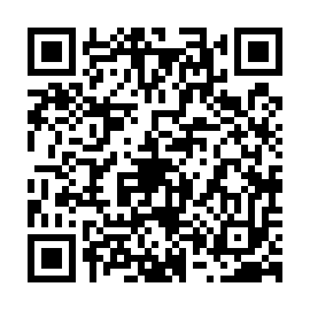 QR code for 608513X