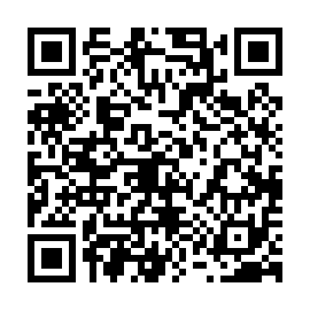 QR code for 610011H